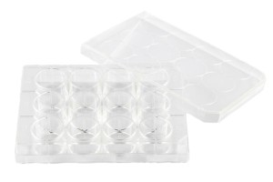 Płytka do hodowli komórkowej 12-dołkowa sterylna BIOLOGIX