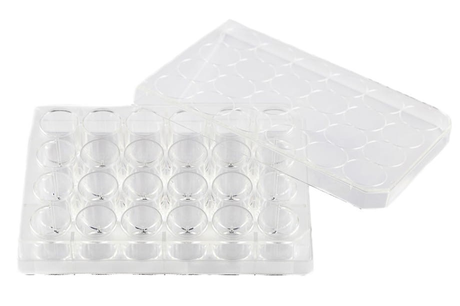 Płytka do hodowli komórkowej 24-dołkowa sterylna BIOLOGIX