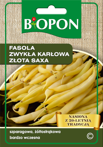 Fasola zwykła karłowata Złota Saxa - nasiona 25 g BIOPON