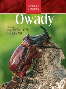 Owady - Spotkania z przyrodą