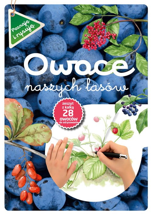 Owoce naszych lasów (zeszyt z kalką)