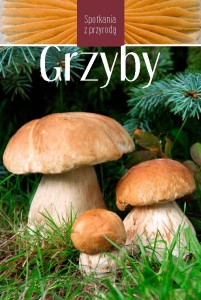 Grzyby - Spotkania z przyrodą