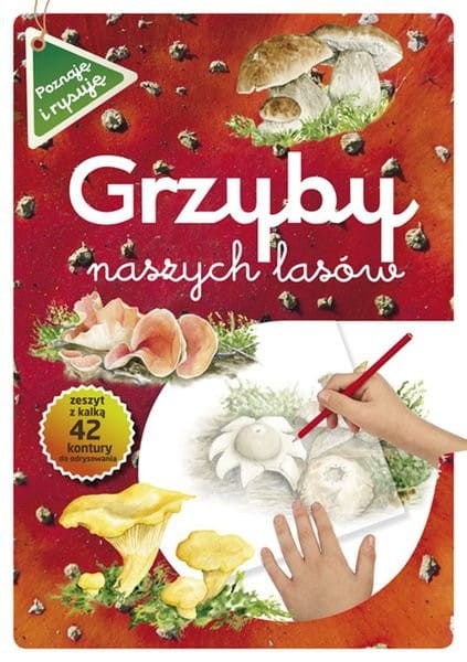 Grzyby naszych lasów (zeszyt z kalką)