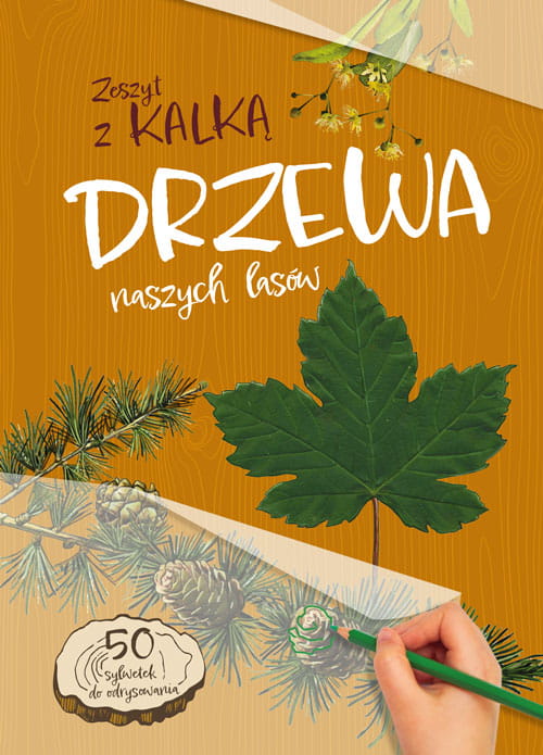 Drzewa naszych lasów (zeszyt z kalką)