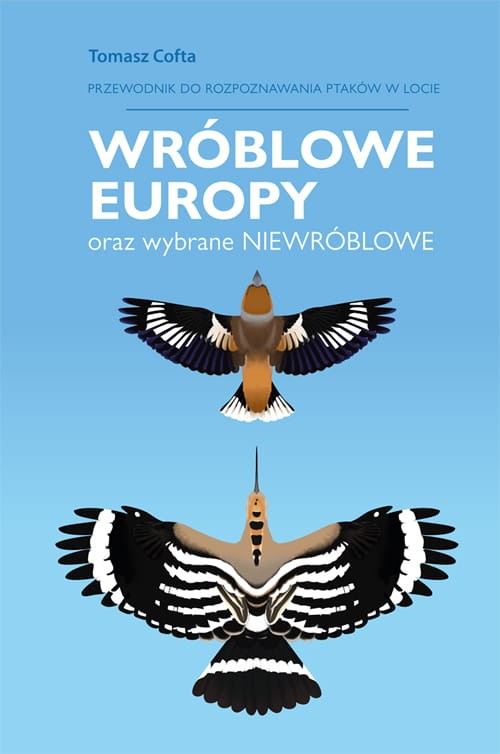 Wróblowe Europy – Przewodnik do rozpoznawanie ptaków w locie
