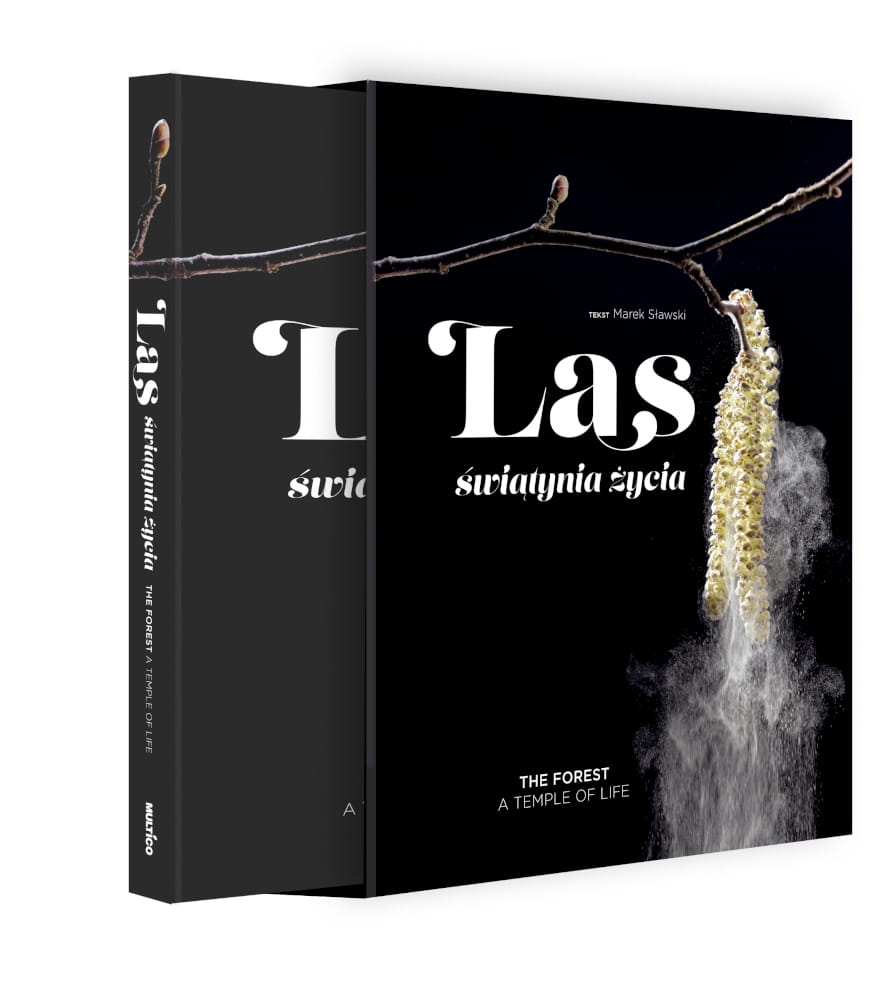 LAS – świątynia życia (książka w etui)