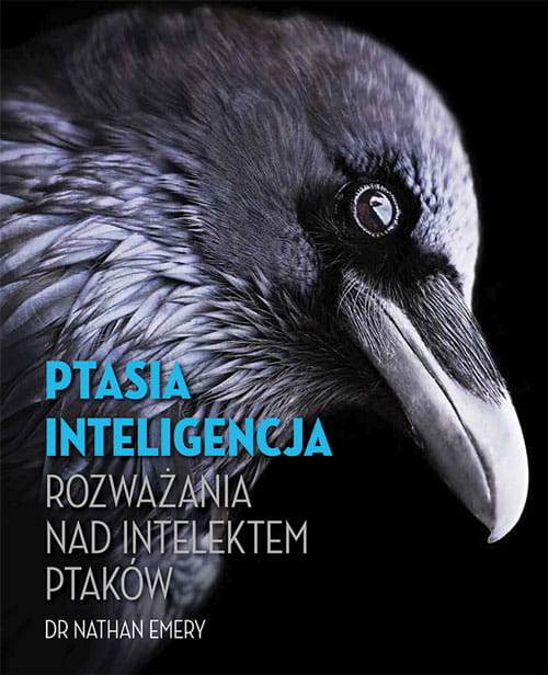 Ptasia inteligencja. Rozważania nad intelektem ptaków