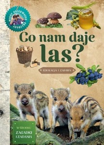 Co nam daje las. Młody Obserwator Przyrody