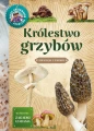 Królestwo grzybów. Młody Obserwator Przyrody