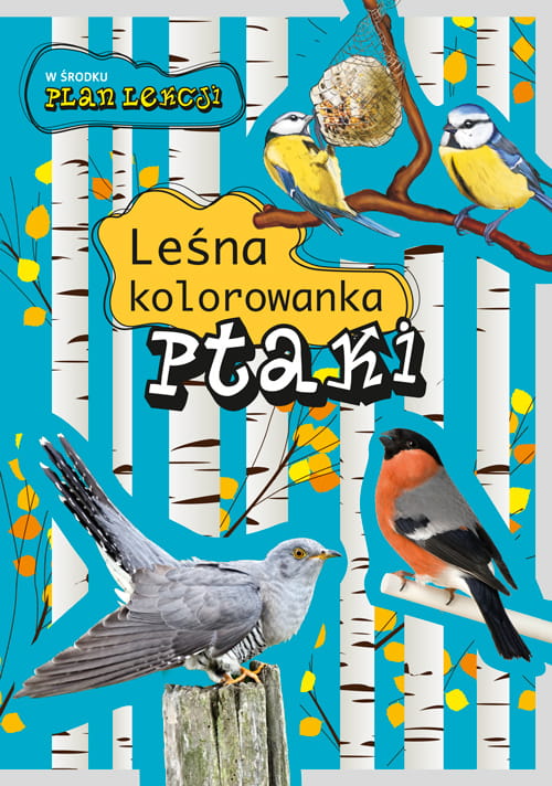 Ptaki. Leśna kolorowanka