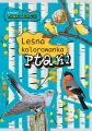 Ptaki. Leśna kolorowanka