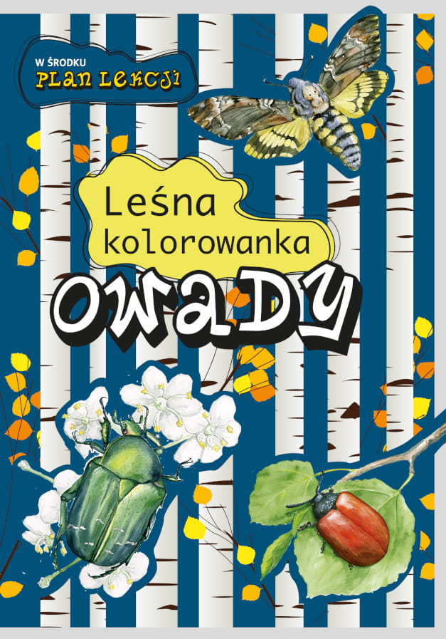Owady. Leśna kolorowanka