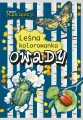 Owady. Leśna kolorowanka