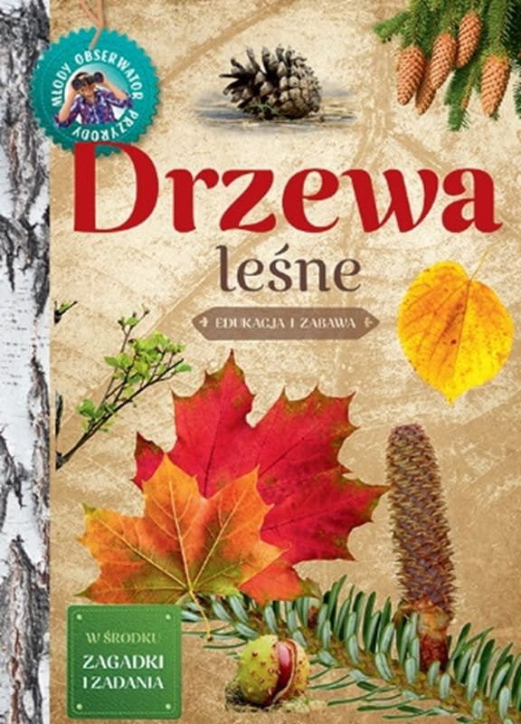 Drzewa leśne. Młody Obserwator Przyrody